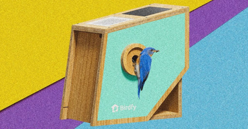 Birdfy Nest Polygon Smart Birdhouse Review: Priped for Pictures